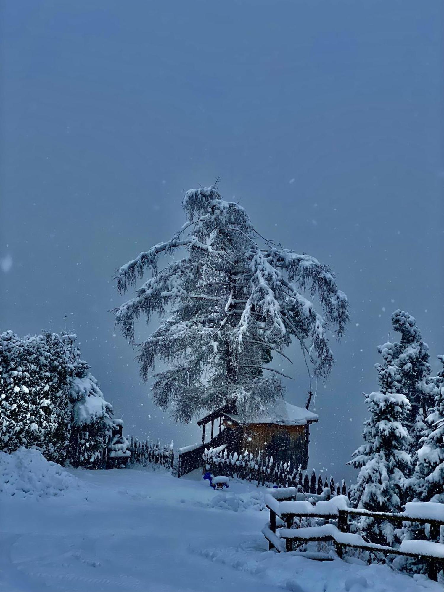 Oberprantschoellhof - Horse Mountain Stable Bressanone Dış mekan fotoğraf
