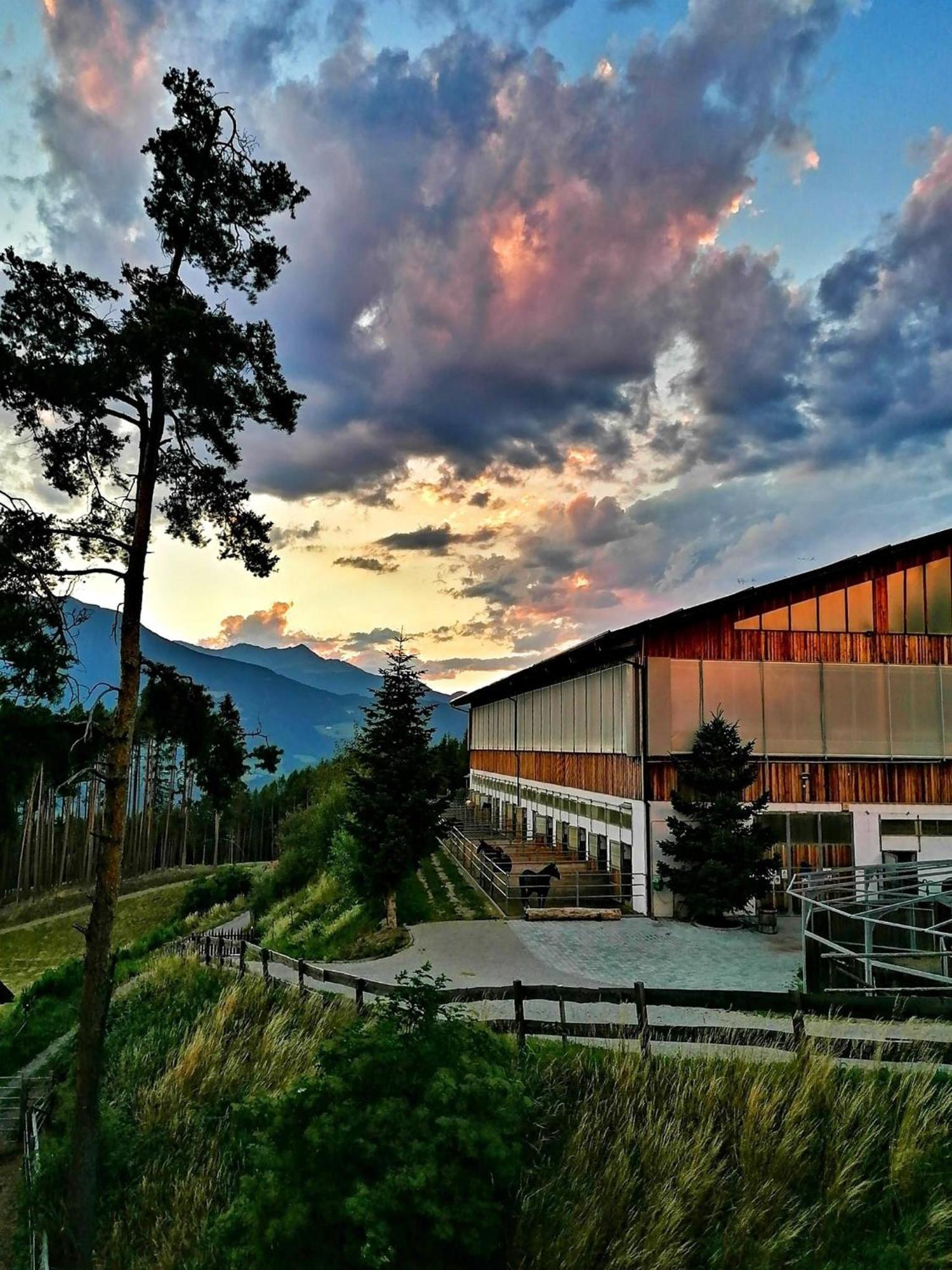 Oberprantschoellhof - Horse Mountain Stable Bressanone Dış mekan fotoğraf